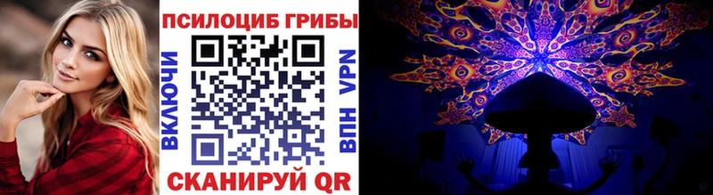 где купить Усть-Лабинск Псилоцибиновые грибы прущие грибы