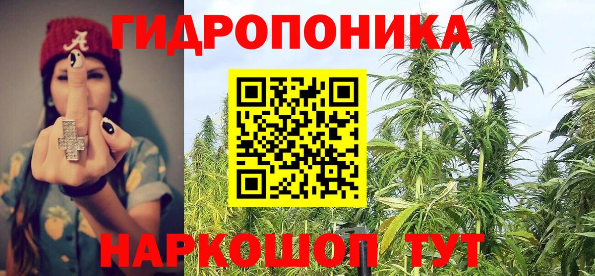 Канабис OG Kush Усть-Лабинск
